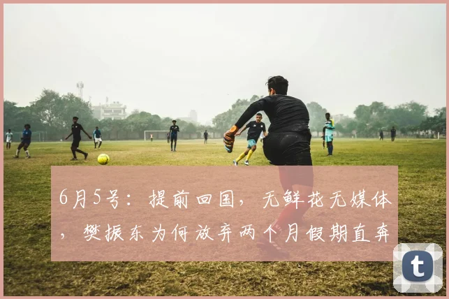 6月5号:提前回国,无鲜花无媒体,樊振东为何放弃两个月假期直奔上海训练基地_欧洲_德甲_职业