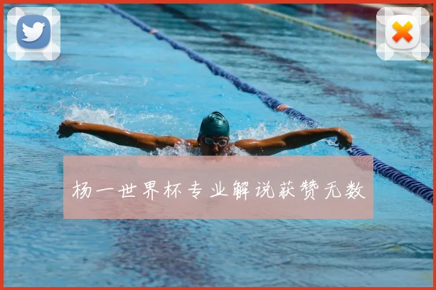 杨一世界杯专业解说获赞无数
