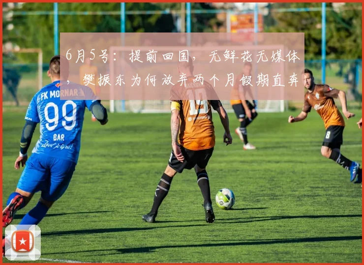 6月5号:提前回国,无鲜花无媒体,樊振东为何放弃两个月假期直奔上海训练基地_欧洲_德甲_职业